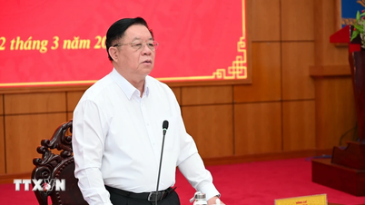 Análise da implementação da Resolução do 14º Congresso do Partido e dos preparativos para as eleições em Tay Ninh.