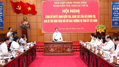 Het inspectie- en toezichtsteam nr. 19 van het Politbureau werkte samen met het Permanent Comité van het partijcomité van de provincie Tay Ninh.