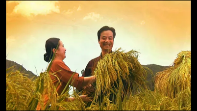 TVC Thương hiệu