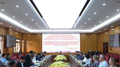 জলবায়ু পরিবর্তন অভিযোজন সম্পর্কে কানাডিয়ান আরবান পার্টনারশিপ প্রতিনিধিদলের সাথে লাম ডং প্রদেশ প্রযুক্তিগত তথ্য বিনিময় করছে।