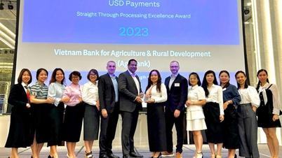 Agribank nhận giải thưởng Chất lượng thanh toán quốc tế xuất sắc năm 2023 từ Citibank