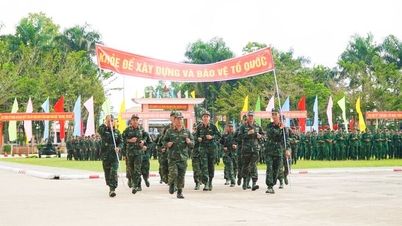 The armed forces of An Giang province participated in the Military Sports Run Day.