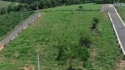 کیا زمین کی تقسیم کے لیے سڑک کی تعمیر کے لیے زمین عطیہ کرنا جائز ہے؟