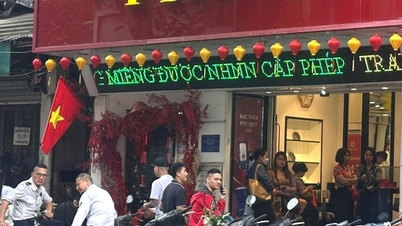 Harga emas melonjak lagi sebesar 2,3 juta VND per tael, melampaui angka 190 juta VND.