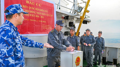Майже 100 виборців взяли участь у достроковому голосуванні на морі.