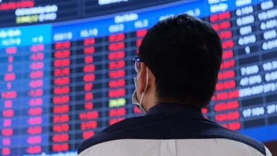 VN-Index plummets, market in the red.