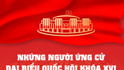 16. Ulusal Meclis adayları Kültür ve Sosyal İşler Komitesi'ndendir.