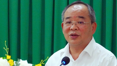 Promover o desenvolvimento da cidade de Ho Chi Minh e manter seu papel como principal centro econômico.