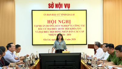 Гиа Лай проводит обучение по процедурам проведения выборов.