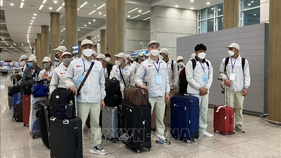 Temporarily suspend sending Vietnamese workers to the Middle East to ensure safety.