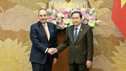 [Photo] National Assembly Chairman Tran Thanh Man receives the First Vice President of the Greek Parliament
