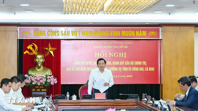 Annonce de la décision de procéder à des inspections et à une supervision avec le Comité permanent des comités provinciaux du Parti de Dong Nai et de Ca Mau.