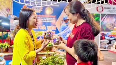 Lebih dari 20 perusahaan berpartisipasi dalam pameran dan pengenalan produk OCOP di Ha Tien.