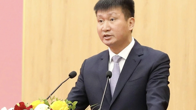De voorzitter van het Volkscomité van de provincie Ninh Binh is verkozen tot secretaris van het Provinciaal Partijcomité.