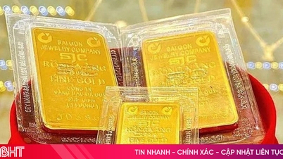 Le prix de l'or sur le marché intérieur approche les 191 millions de VND par tael.