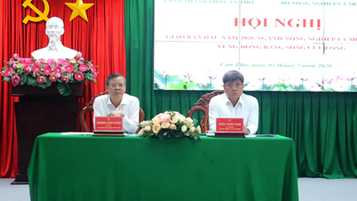 Focus on promoting rapid and sustainable development of agriculture and rural economy, linked with the construction of new rural areas.
