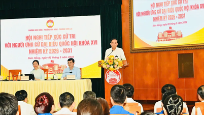 អ្នកបោះឆ្នោតចង់ឱ្យទីក្រុងហូជីមិញអភិវឌ្ឍលំនៅដ្ឋានសង្គម និងលំនៅដ្ឋានជួលដែលមានតម្លៃសមរម្យ។