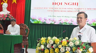 Mekong-delta mezőgazdaság 2026: Proaktív piackezelés, a passzív termelés elkerülése.