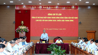 Overall design of Vietnam's double-digit economic growth model.