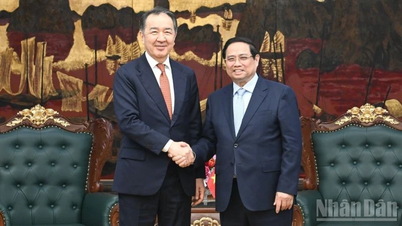 Continuar a promover as relações entre o Vietname e a UEEA através de acordos específicos e projetos de cooperação.