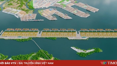 Kota Ho Chi Minh mencari investor strategis untuk investasi sebesar 128 triliun VND di pelabuhan mega Can Gio.