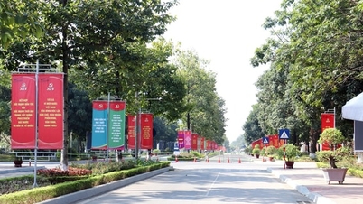 हनोई: 2026 में प्रमुख त्योहारों को मनाने के लिए अनुकरण अभियान