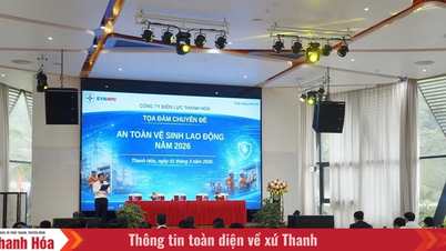 Thanh Hoa Enerji Şirketi, 2026 yılında İş Sağlığı ve Güvenliği konulu bir seminer düzenliyor.