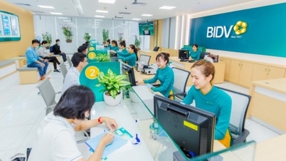 BIDV, sermaye artırımı konusundaki görüşmeleri sürdürerek 2026 hissedarlar toplantısına hazırlanıyor.