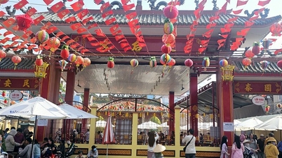 Unusual scenes at Ba Binh Duong Pagoda on the 7th day of the first lunar month.