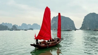 A férfi, aki újraélesztette a vitorlákat a Ha Long-öbölben.