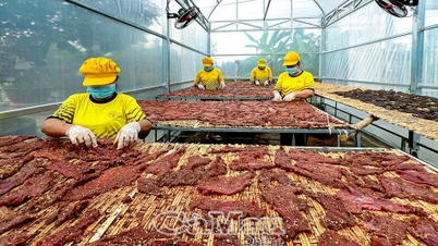 Produsele speciale OCOP avansează cu încredere.
