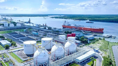 PVGas Trading оголошує про форс-мажорну ситуацію: ризик широкомасштабного дефіциту зрідженого газу (ЗГЗ).