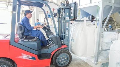 Las empresas de Can Tho se están adaptando proactivamente y transformándose gradualmente en la nueva era.