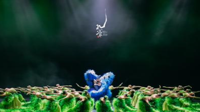The ballet "Peacock": Expected to make a positive contribution to the development of the cultural industry and enhance Vietnam's position on the map of international art destinations.