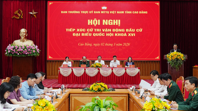 Cao Bang : Réunion en ligne pour dialoguer avec les électeurs et faire campagne pour les candidats aux élections de la 16e Assemblée nationale, circonscription électorale n° 1.