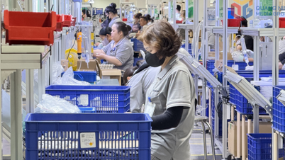 Construir e desenvolver uma força de trabalho composta por trabalhadoras e funcionárias.