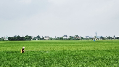 कृषि बीमा प्रीमियम सब्सिडी को 95% तक बढ़ाने का प्रस्ताव