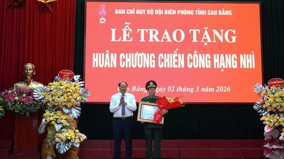A Ordem do Mérito, Segunda Classe, foi concedida a Ta Van Tuan, Comandante da Guarda de Fronteira da Província de Cao Bang.
