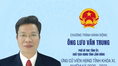 Luu Van Trung úr, a Lam Dong Tartományi Népi Tanács jelöltjének cselekvési terve, 11. ciklus, 2026-2031