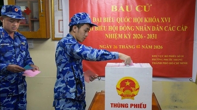 4 עקרונות יסוד להבטחת בחירות דמוקרטיות בווייטנאם.