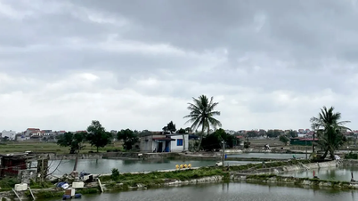 দক্ষিণ ভিয়েতনামে আবারও অসময়ের বৃষ্টিপাত হতে চলেছে।