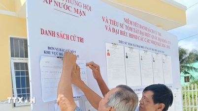 Ulusal Meclis ve Halk Konseyi Seçimleri: Ca Mau, Ulusal Festivali heyecanla bekliyor.