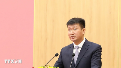 Siyasi Büro, yoldaş Tran Huy Tuan'ın Ninh Binh İl Parti Komitesi Sekreterliği görevini üstlenmesini onayladı.