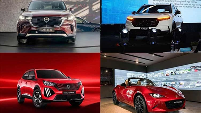 Mnoho nových modelů automobilů je nyní k dispozici k předobjednávce a vietnamským zákazníkům budou dodány začátkem roku 2026.