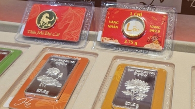 Le matin du 3 mars, les prix des lingots d'or SJC et de l'argent Phu Quy ont connu de fortes fluctuations.