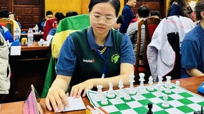 Approximately 150 players will participate in the 2026 National Chess Championship.
