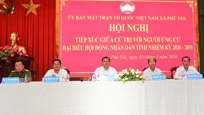 Candidates for the Provincial People's Council met with voters in the communes of Phu Tuc, Tan Thanh Binh, Thanh Thoi, Thanh Phu, Ba Tri, and Thoi Thuan.