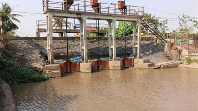 Hai Phong consacre la priorité aux ressources pour la modernisation des digues et des remblais, renforçant ainsi le « bouclier » contre les catastrophes naturelles.