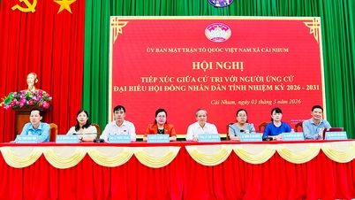 Candidates for the Provincial People's Council in electoral district No. 02 met with voters and campaigned in Cai Nhum commune.