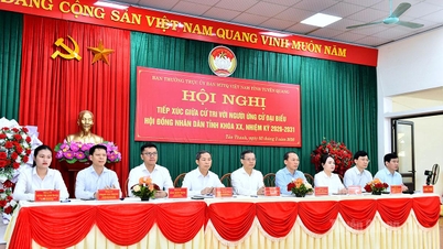 صوبائی عوامی کونسل کے چیئرمین Nguyen Van Son: ترقی میں پیش رفت پیدا کرنے کے لیے اداروں کو بہتر بنانے کو ترجیح دیں۔
